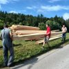 Zbiranje in skladiščenje lesa
